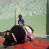 cpfl_camargo-correa_097
