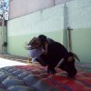 cpfl_camargo-correa_127