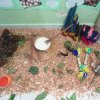 festa-das-nacoes-2013_105