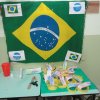 festa-das-nacoes-2013_108