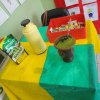 festa-das-nacoes-2013_118