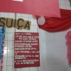 09_festa-nacoes-2014