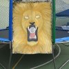 22_festa-nacoes-2014