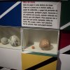 museu-do-futebol_25
