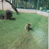 parque-ecologico_09