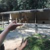 parque-ecologico_21
