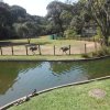 parque-ecologico_23