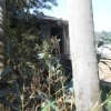 parque-ecologico_25