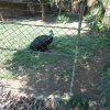 parque-ecologico_27