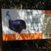 parque-ecologico_28