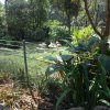 parque-ecologico_33