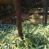 parque-ecologico_38