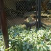 parque-ecologico_39