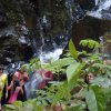 passeio-brotas_24