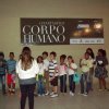 passeio-ssnj-shopping-dom-pedro_29