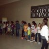 passeio-ssnj-shopping-dom-pedro_32
