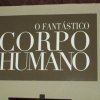 passeio-ssnj-shopping-dom-pedro_37